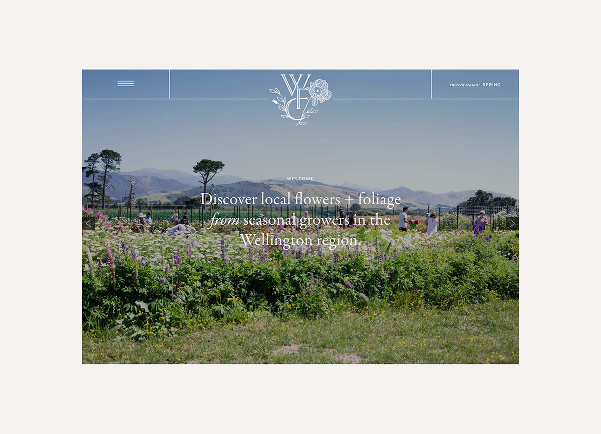 Wellington Flower Collective Forsythe Studio